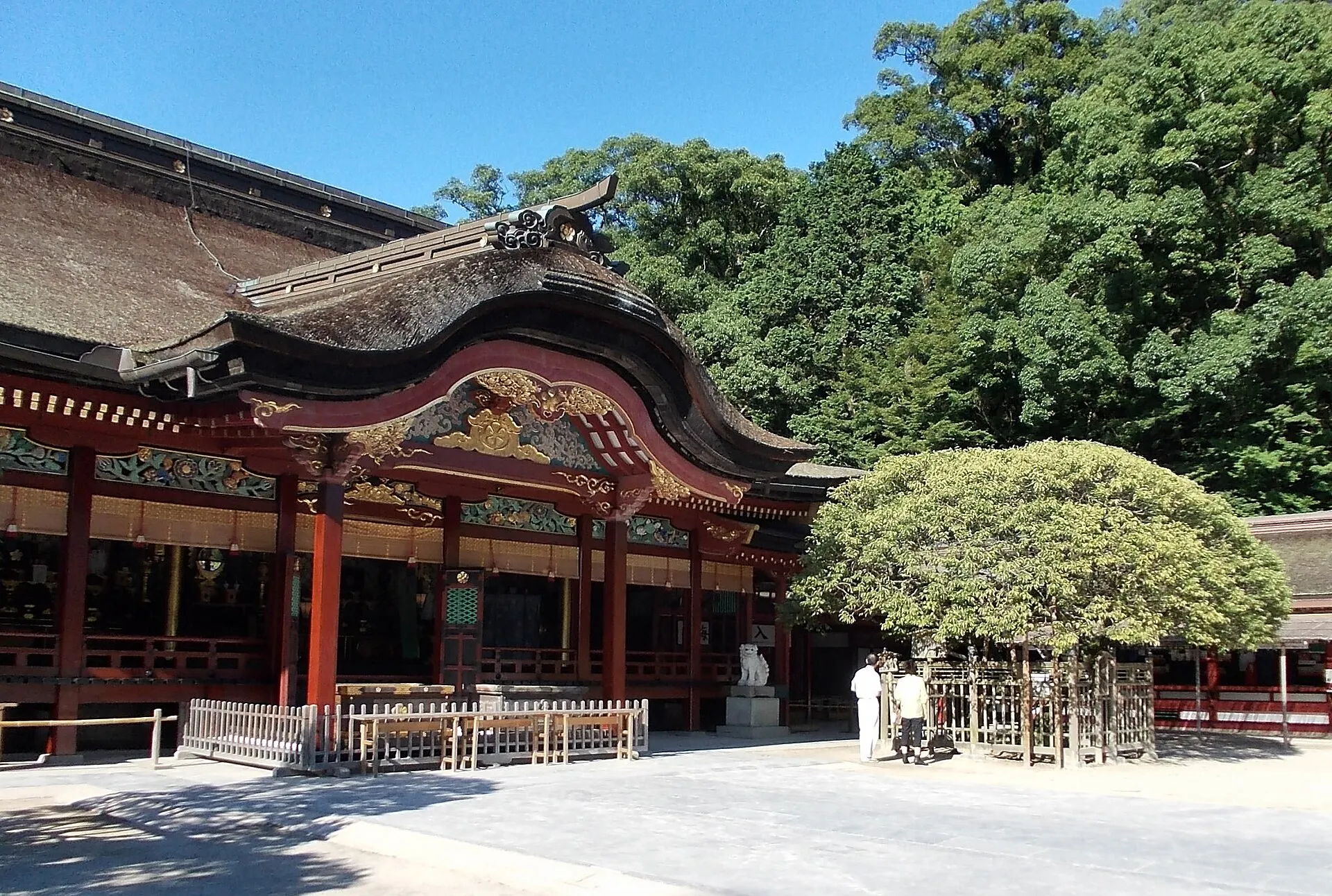 The historic main hall and plum tree at Dazaifu Tenmangu