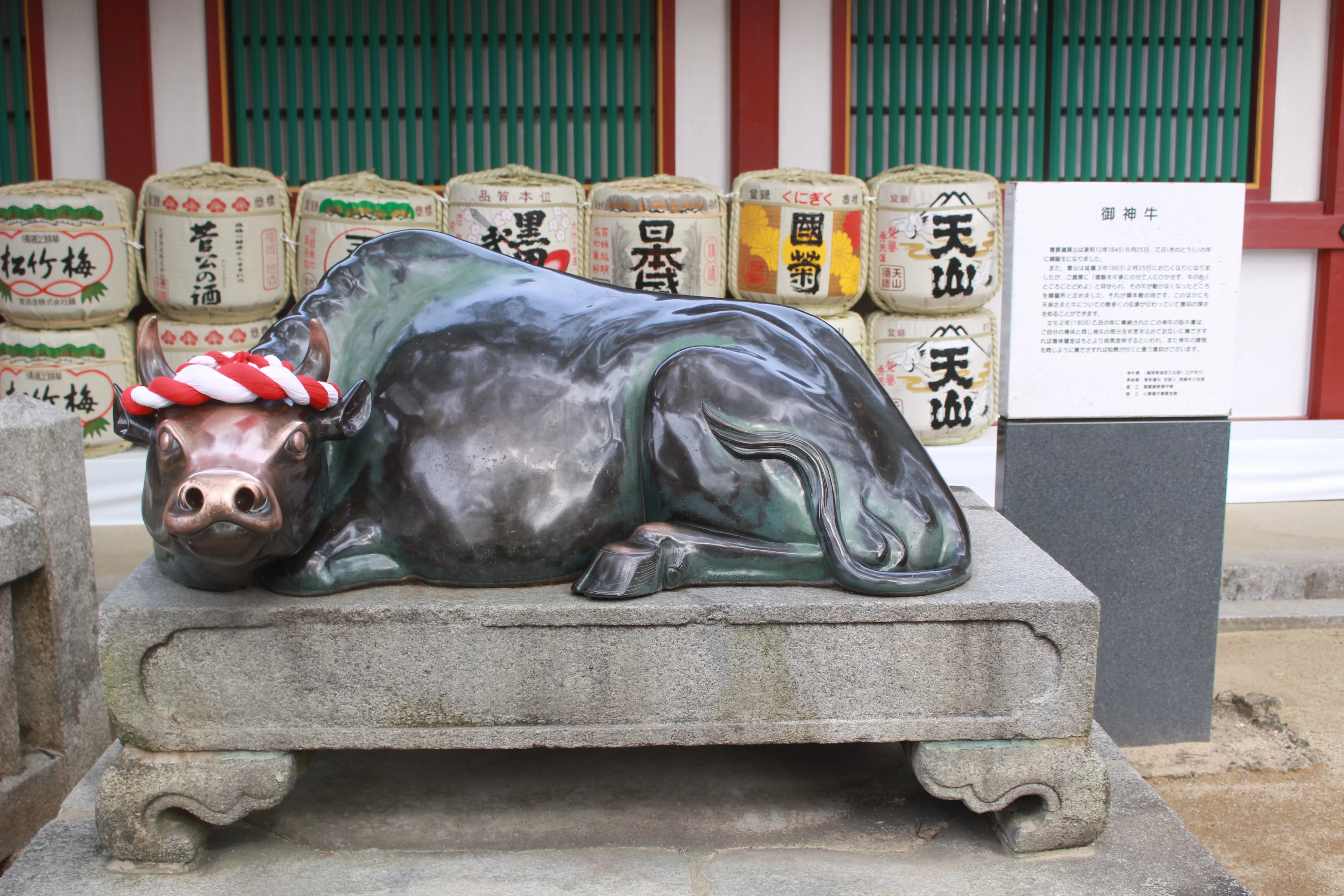 Close-up of the bronze sacred ox wearing a red-and-white rope